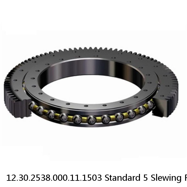 12.30.2538.000.11.1503 Standard 5 Slewing Ring Bearings