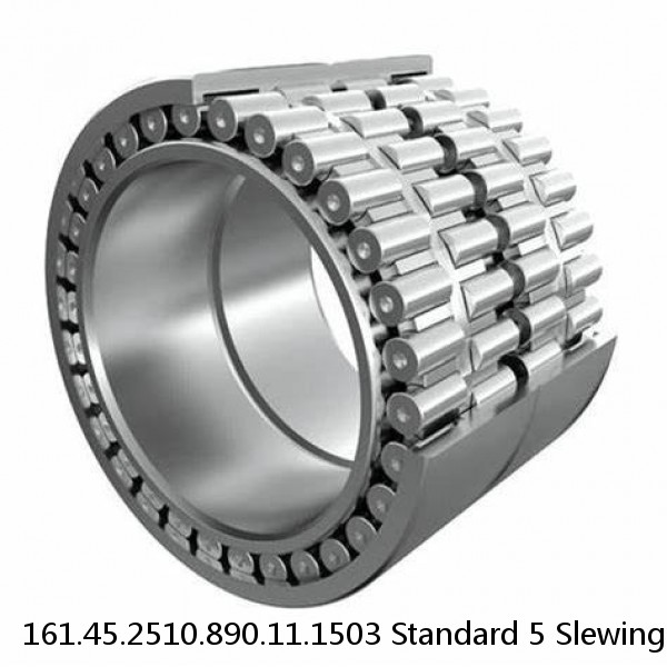 161.45.2510.890.11.1503 Standard 5 Slewing Ring Bearings