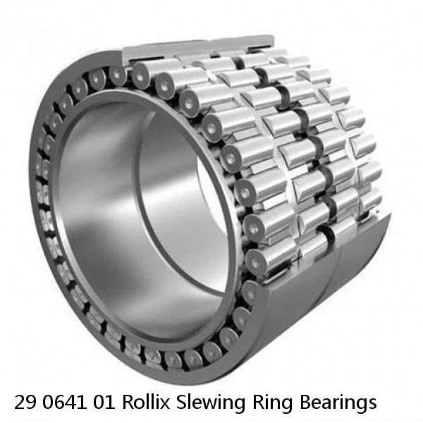 29 0641 01 Rollix Slewing Ring Bearings