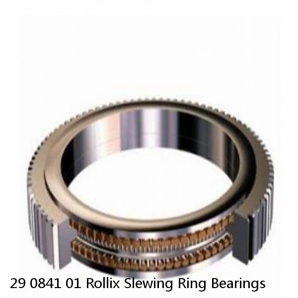 29 0841 01 Rollix Slewing Ring Bearings