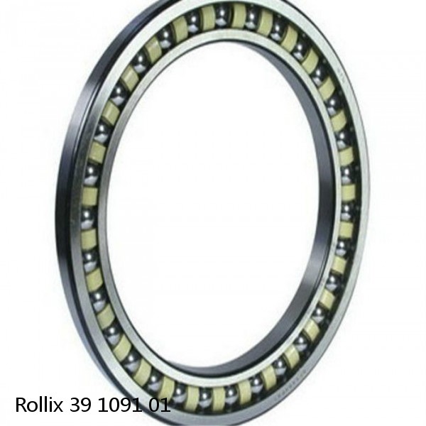 39 1091 01 Rollix Slewing Ring Bearings