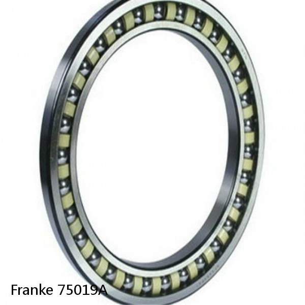 75019A Franke Slewing Ring Bearings