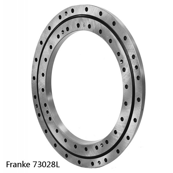 73028L Franke Slewing Ring Bearings