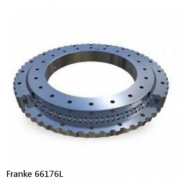 66176L Franke Slewing Ring Bearings