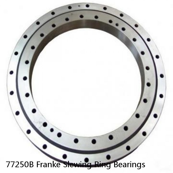 77250B Franke Slewing Ring Bearings