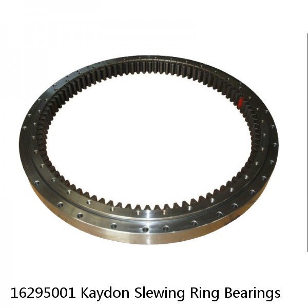 16295001 Kaydon Slewing Ring Bearings