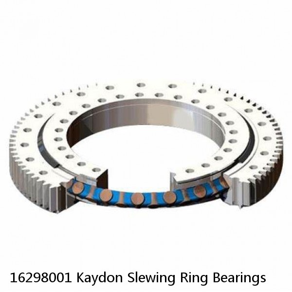 16298001 Kaydon Slewing Ring Bearings