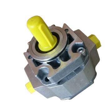 SUMITOMO QT43-31.5-A Double Gear Pump