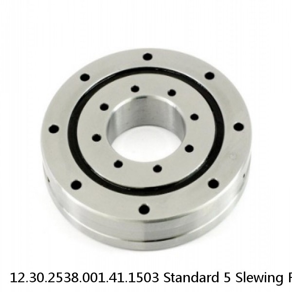 12.30.2538.001.41.1503 Standard 5 Slewing Ring Bearings