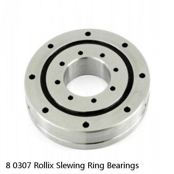 8 0307 Rollix Slewing Ring Bearings