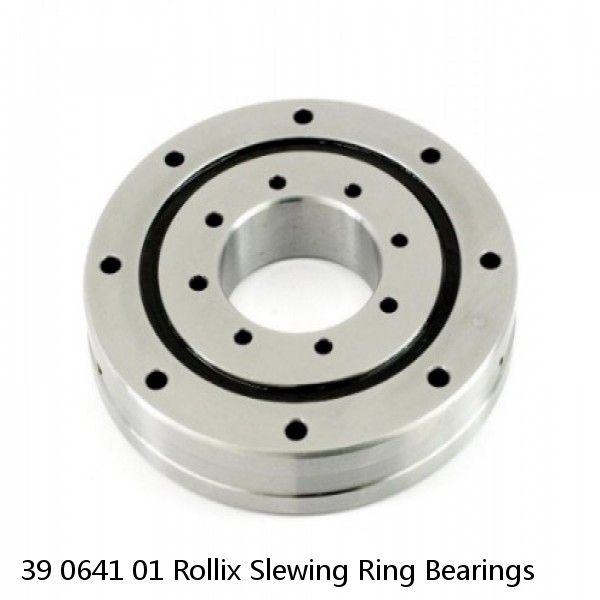 39 0641 01 Rollix Slewing Ring Bearings