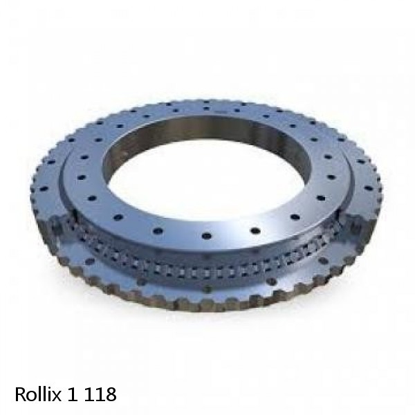 1 118 Rollix Slewing Ring Bearings