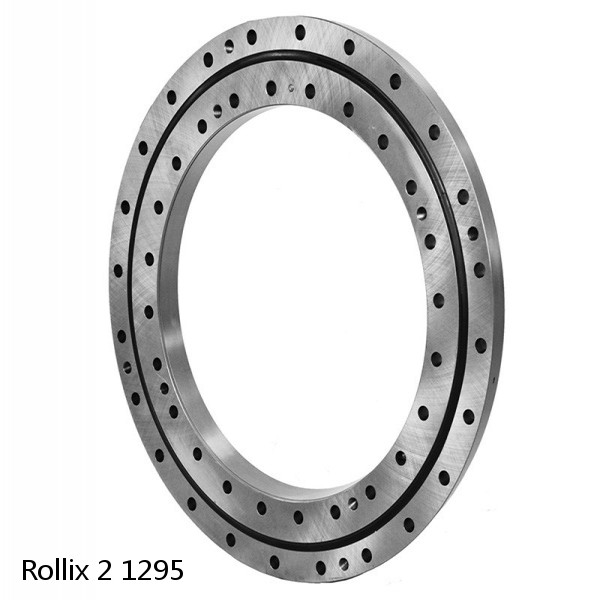 2 1295 Rollix Slewing Ring Bearings