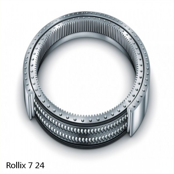 7 24 Rollix Slewing Ring Bearings