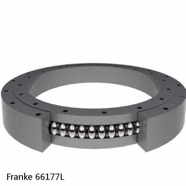 66177L Franke Slewing Ring Bearings