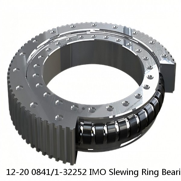 12-20 0841/1-32252 IMO Slewing Ring Bearings