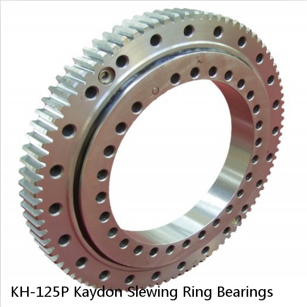 KH-125P Kaydon Slewing Ring Bearings