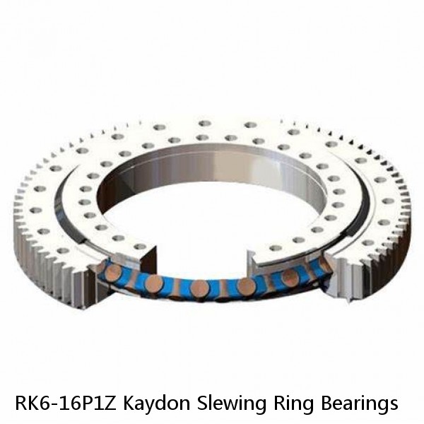 RK6-16P1Z Kaydon Slewing Ring Bearings