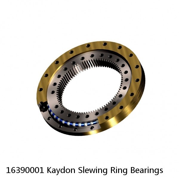 16390001 Kaydon Slewing Ring Bearings