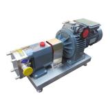 SUMITOMO QT61-200-A Low Pressure Gear Pump